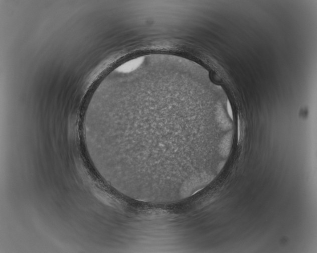 X0000116490483201001061144