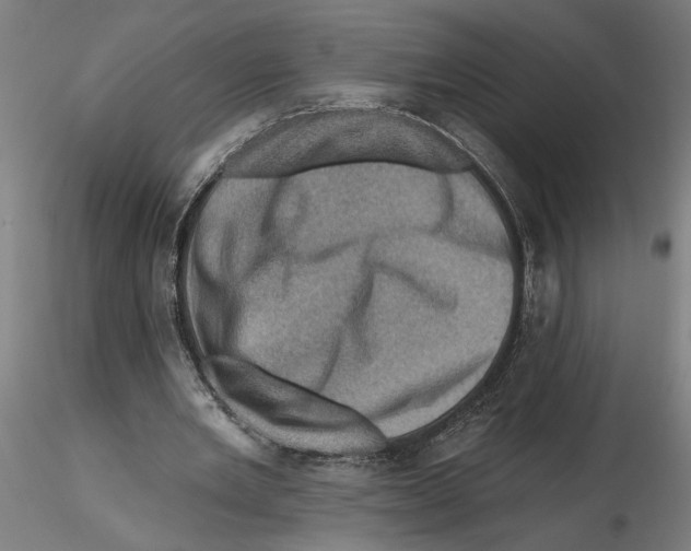 X0000116490485201001061144