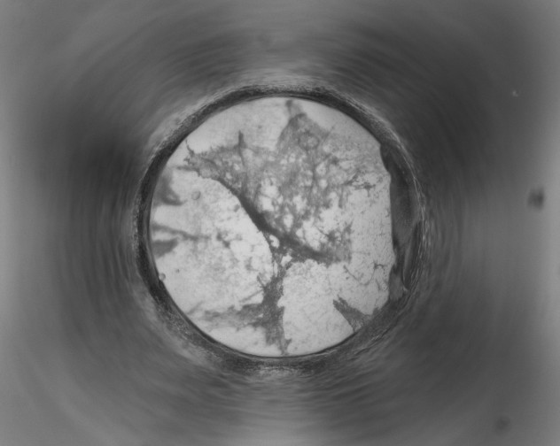 X0000116490487201001061144