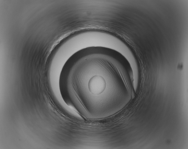 X0000116490488201001061144