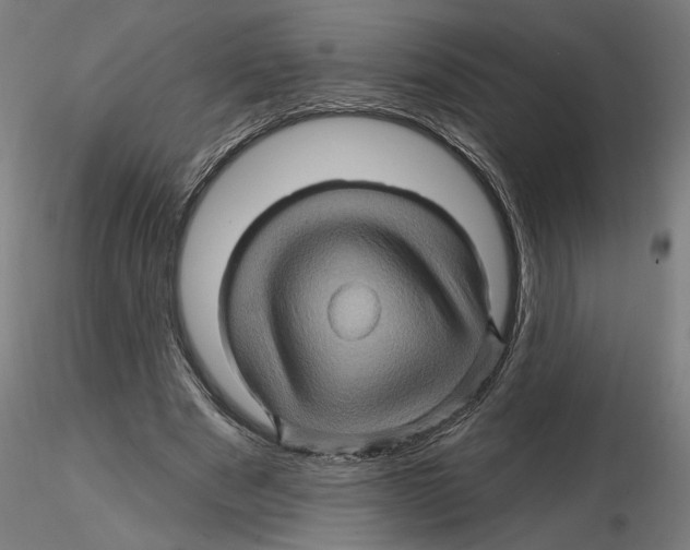 X0000116490489201001061144