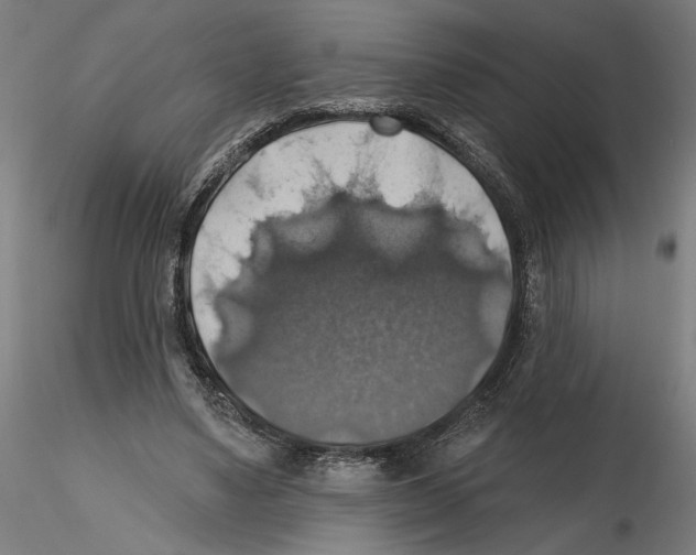 X0000116490491201001061144