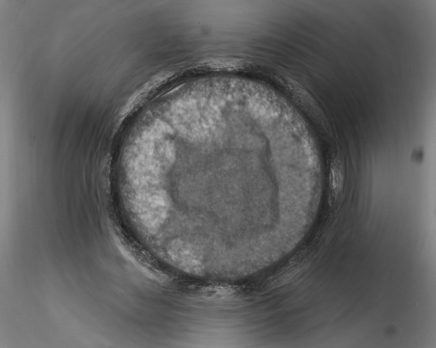 X0000116490492201001061144