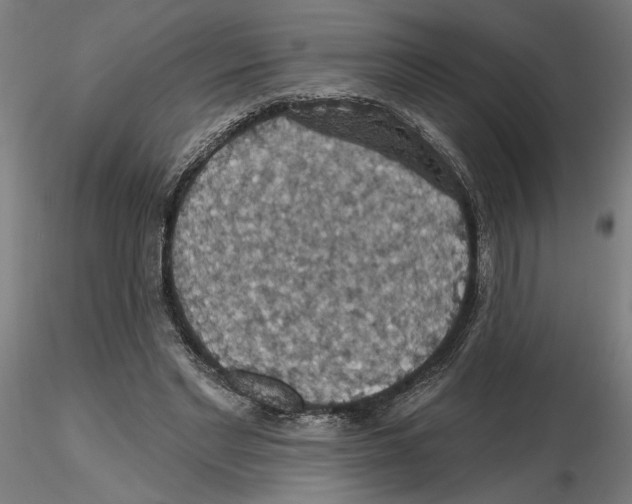 X0000116490493201001061144