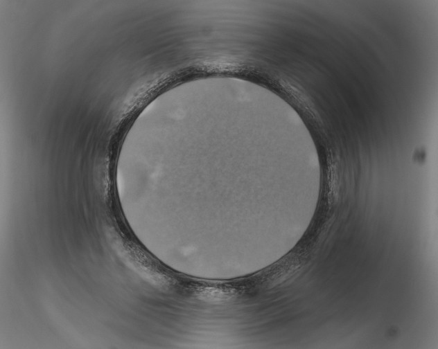 X0000116490494201001061144