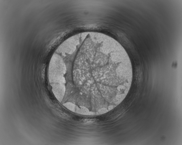 X0000116490495201001061144