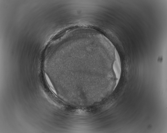 X0000116490496201001061144