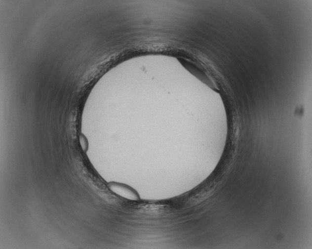 X0000116490497201001061144