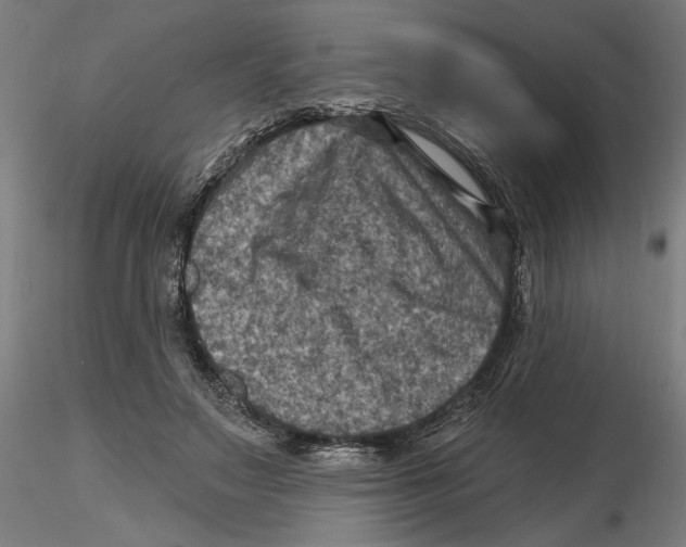 X0000116490499201001061144