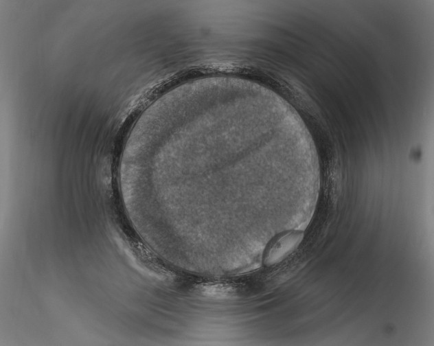 X0000116490500201001061144