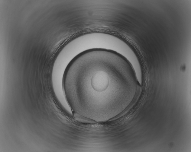 X0000116490501201001061144