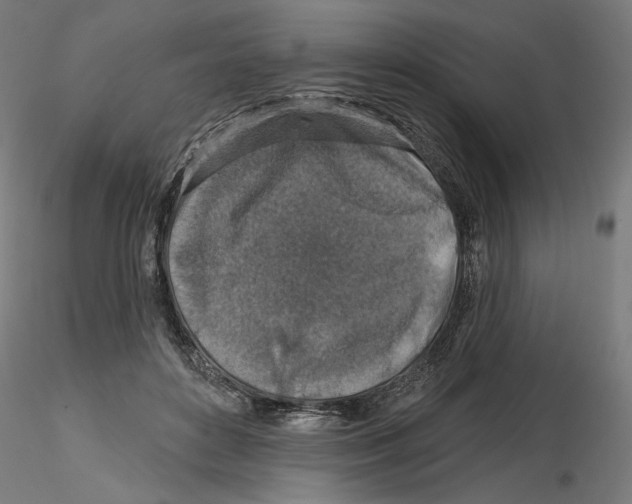 X0000116490504201001061144