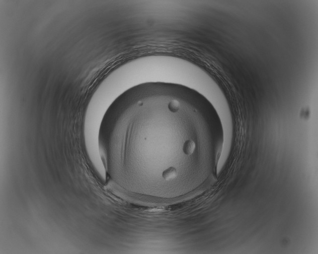 X0000116490505201001061144