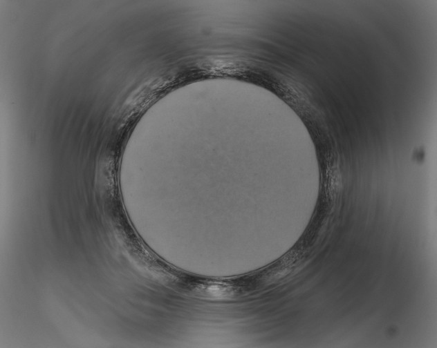 X0000116490506201001061144