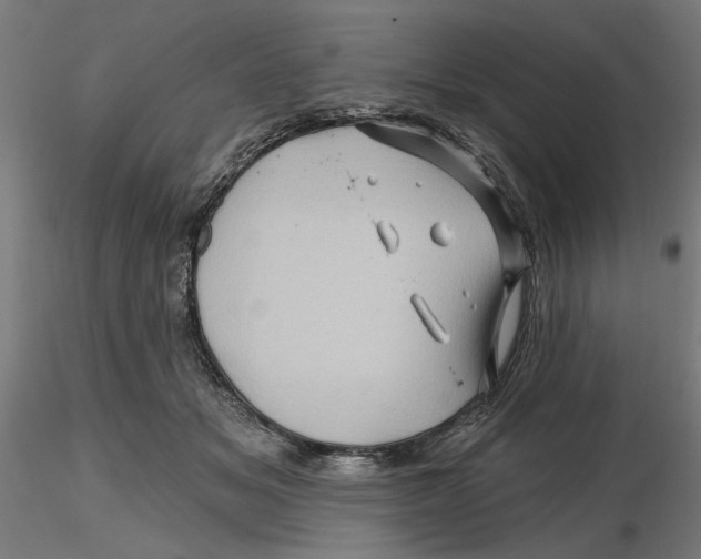 X0000116490509201001061144