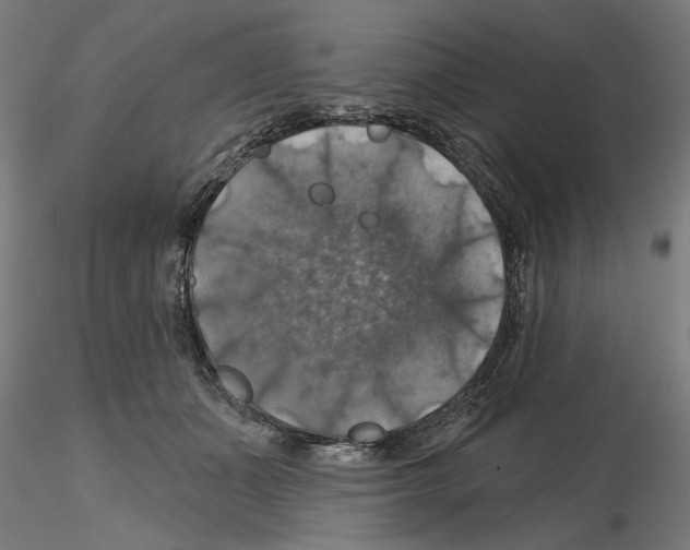 X0000116490511201001061144