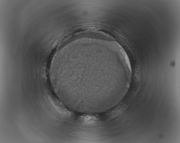 X0000116490512201001061144