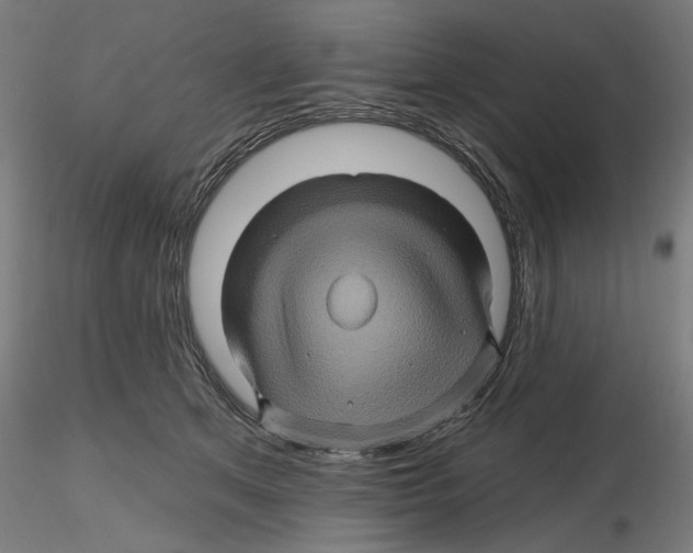 X0000116490513201001061144