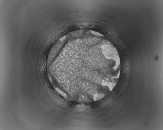 X0000116490515201001061144