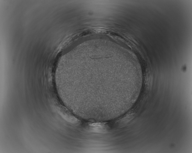 X0000116490516201001061144