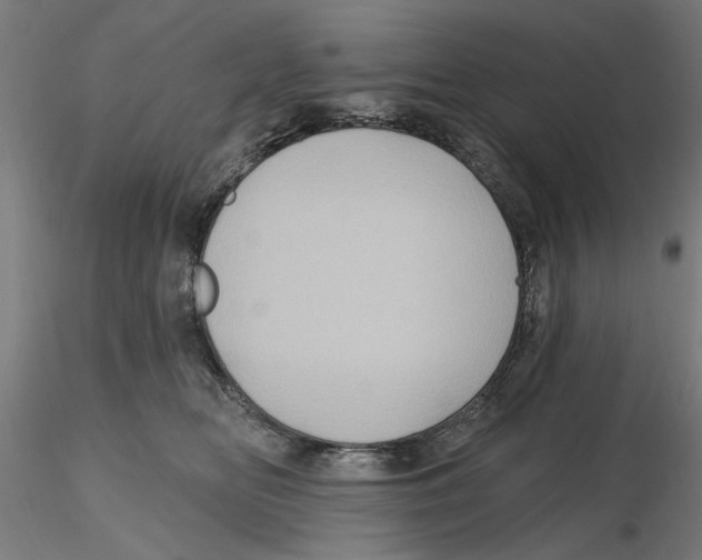 X0000116490518201001061144