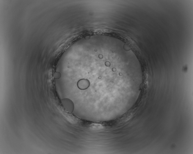 X0000116490519201001061144