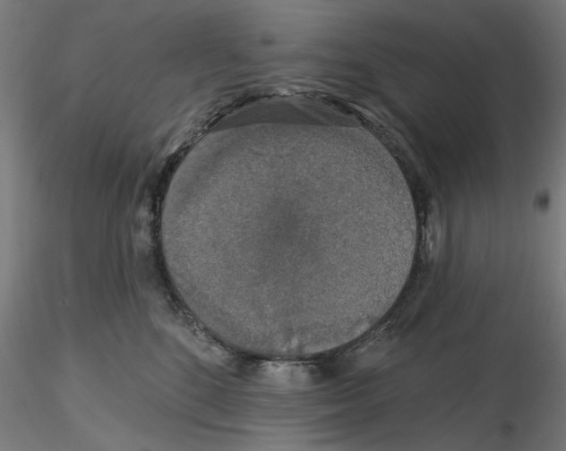 X0000116490520201001061144