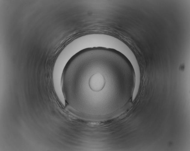 X0000116490521201001061144