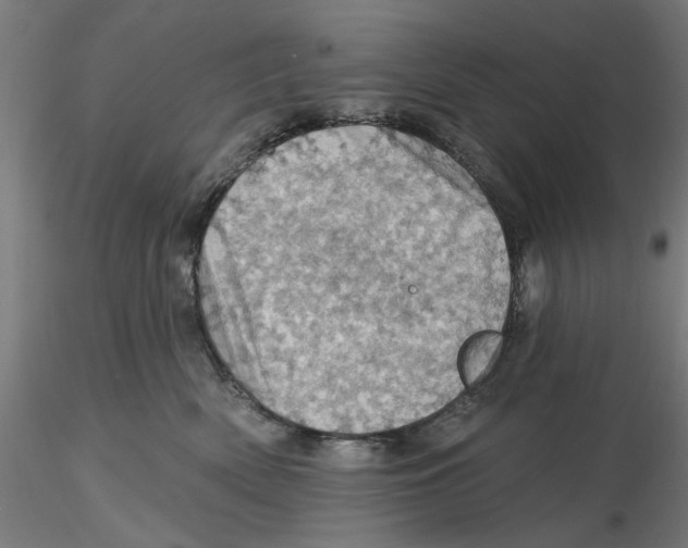 X0000116490522201001061144