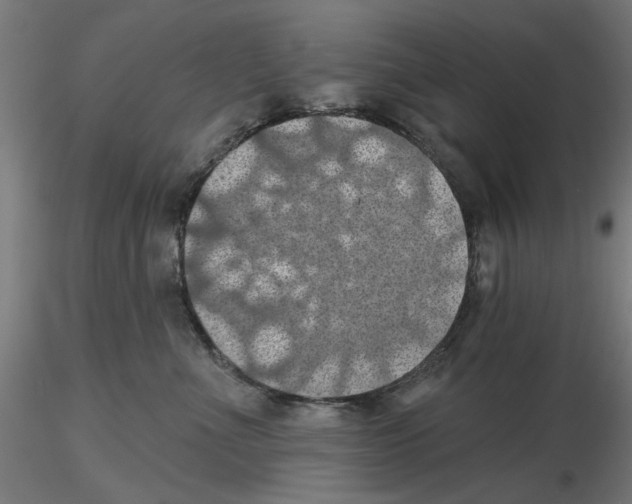 X0000116490523201001061144