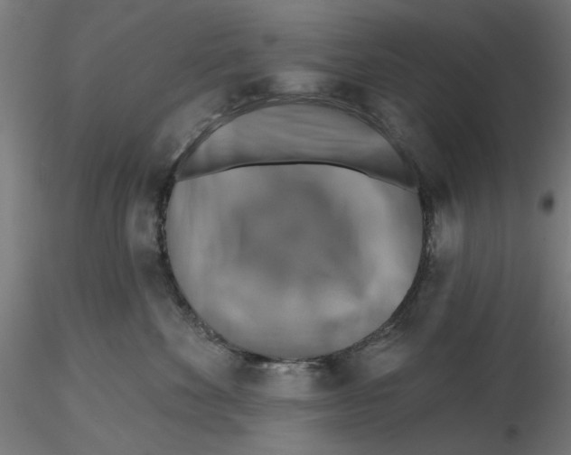 X0000116490524201001061144