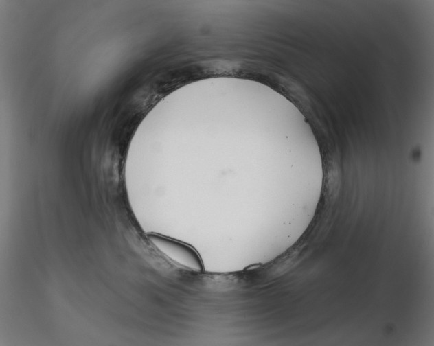 X0000116490525201001061144