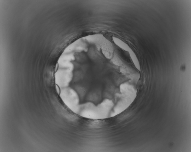 X0000116490527201001061144