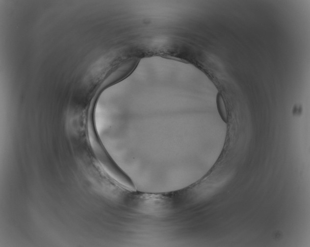 X0000116490528201001061144