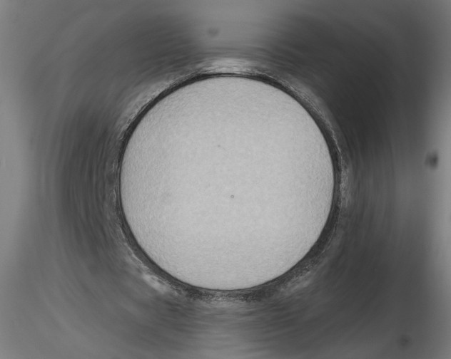 X0000116490529201001061143