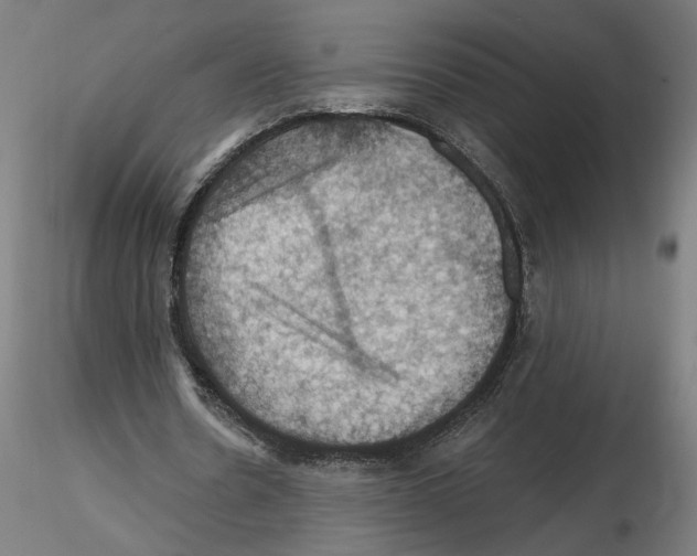 X0000116490530201001061143