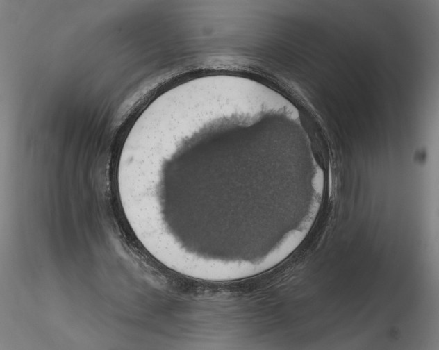 X0000116490531201001061143