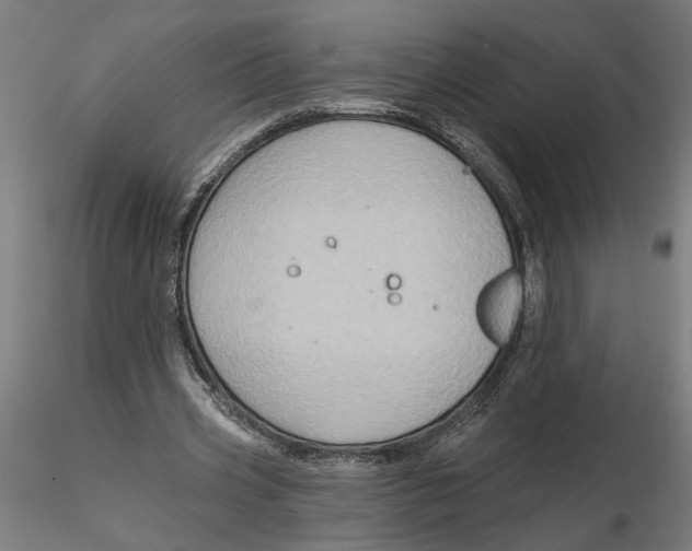 X0000116490533201001061143