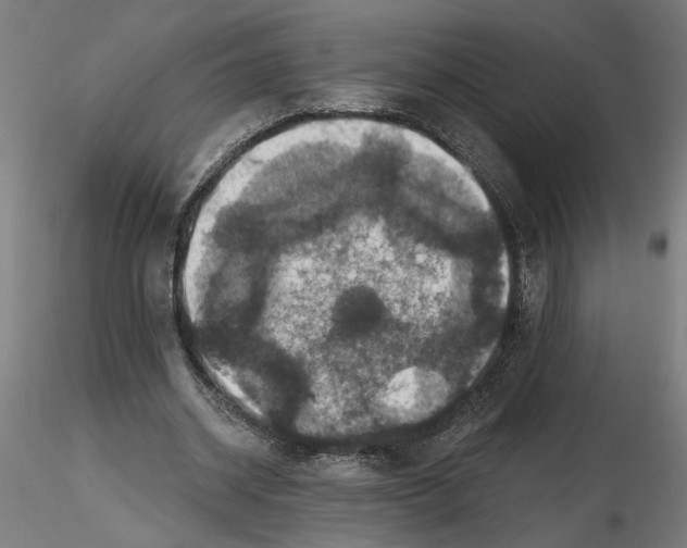 X0000116490534201001061143