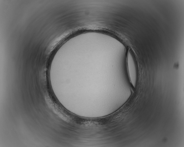 X0000116490535201001061143