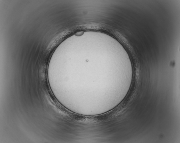 X0000116490537201001061143