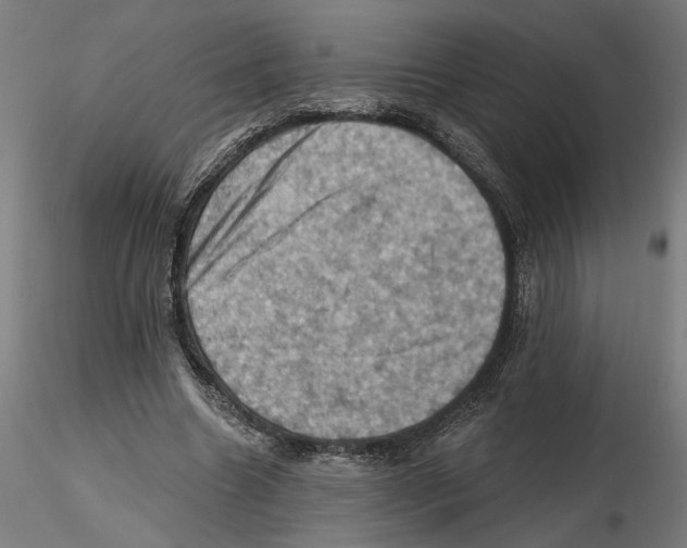 X0000116490538201001061143