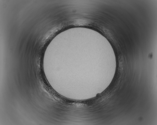 X0000116490539201001061143