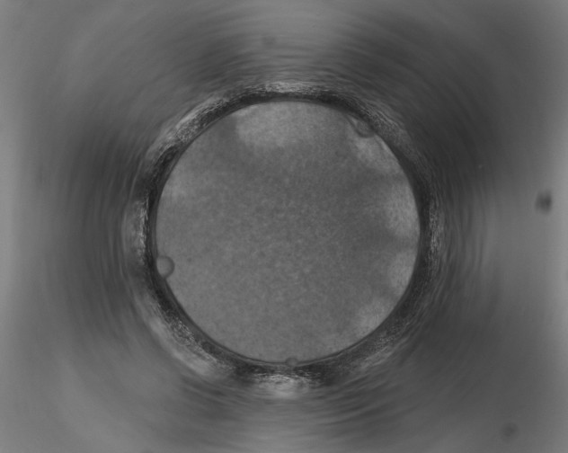 X0000116490542201001061143