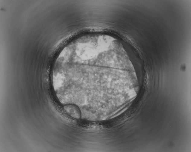 X0000116490543201001061143