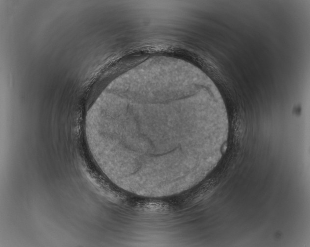 X0000116490546201001061143