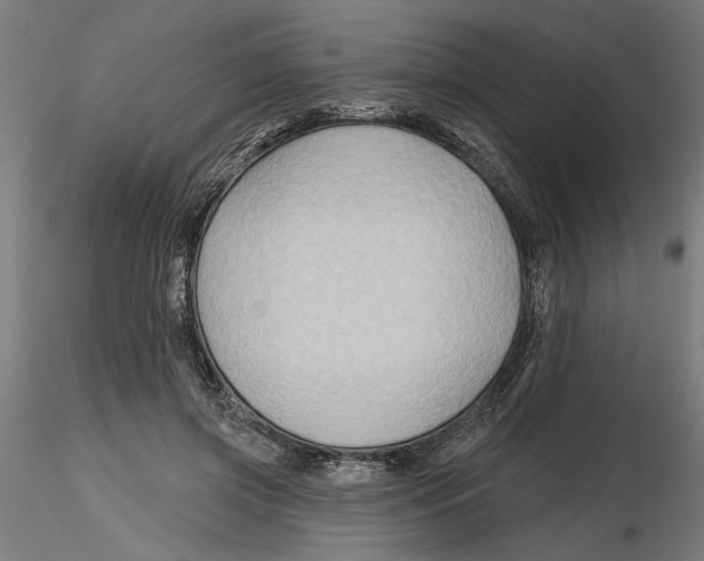 X0000116490549201001061143