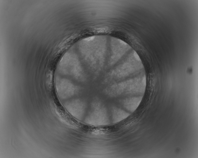 X0000116490550201001061143