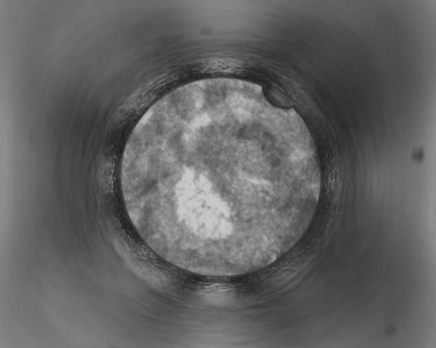 X0000116490551201001061143