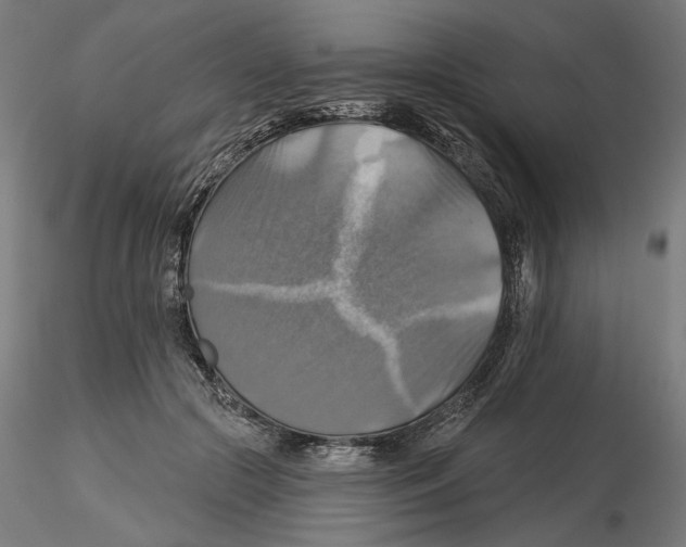 X0000116490553201001061143